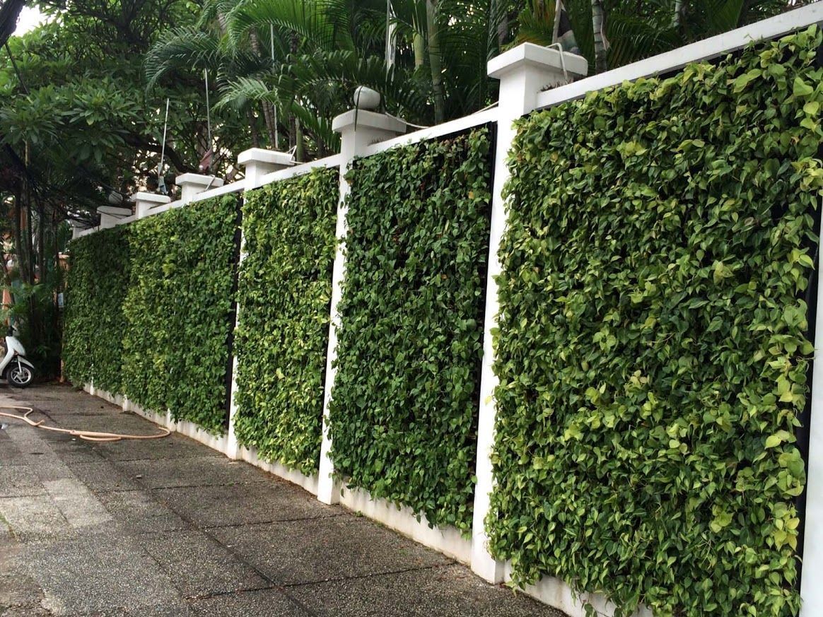 8 top landscape design trends for 2024 according to new report - 21821